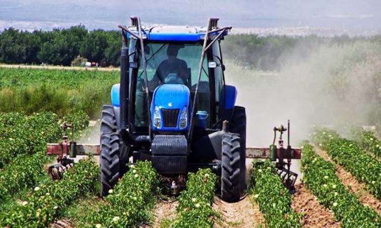 Les atouts des produits agricoles togolais sur le marché international