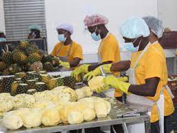 agrotransformation au Togo